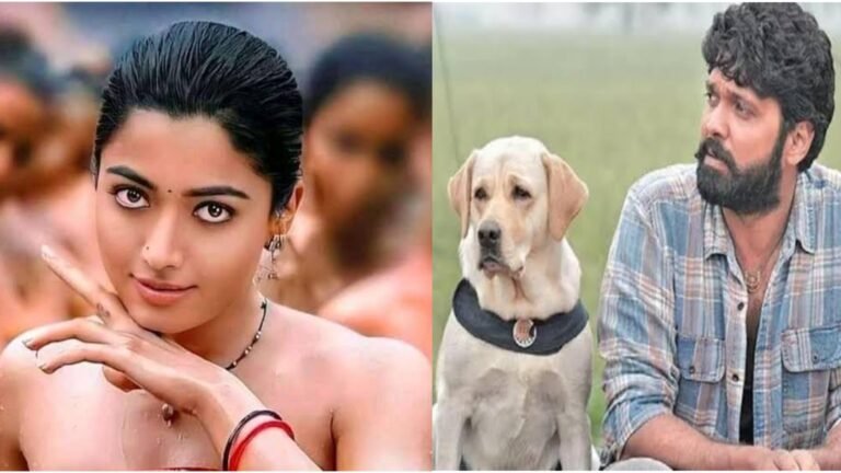 ಚಾರ್ಲಿ ಸಿನಿಮಾದ ನಾಯಿಗೆ ರಶ್ಮಿಕಾಗಿಂತ 4 ಪಟ್ಟು ದುಪ್ಪಟ್ಟು ಸಂಭಾವನೆ ಕೊಟ್ಟ ರಕ್ಷಿತ್ ಶೆಟ್ಟಿ ಎಷ್ಟು ಕೋಟಿ ಗೊತ್ತಾ.?