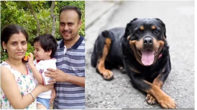 ಸಾಕು ನಾಯಿ ನಂಬಿ ಮಗುನ ಮನೆಯಲ್ಲಿ ಬಿಟ್ಟು ಹೊರಗೆ ಹೋದ ದಂಪತಿಗಳು ಮನೆಗೆ ವಾಪಸ್ ಬಂದು ನೋಡಿ ಬೆಚ್ಚಿ ಬಿದ್ದರು.! ನಾಯಿ ಮಗುಗೆ ಮಾಡಿದ್ದೇನು ಗೊತ್ತಾ.?