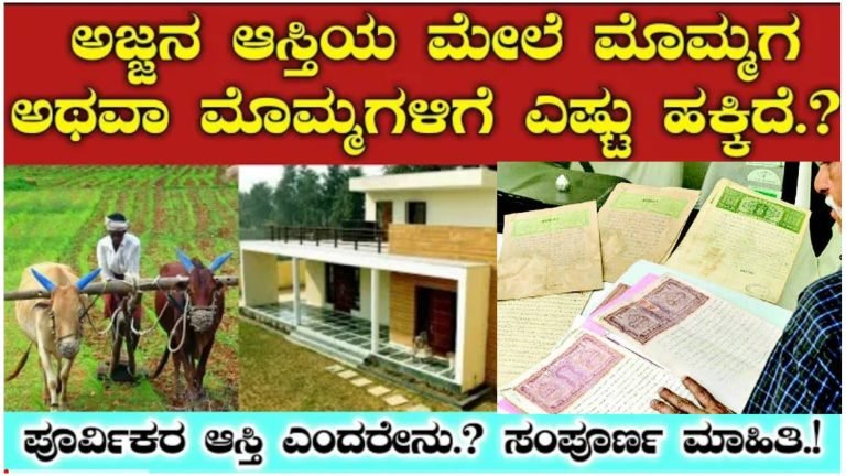 ಅಜ್ಜನ ಆಸ್ತಿಯ ಮೇಲೆ ಮೊಮ್ಮಗ ಅಥವಾ ಮೊಮ್ಮಗಳಿಗೆ ಎಷ್ಟು ಹಕ್ಕಿದೆ.? ಪೂರ್ವಿಕರ ಆಸ್ತಿ ಎಂದರೇನು.? ನಿನಗೆ ಸಿಗುವ ಆಸ್ತಿ ಪಾಲು ಎಷ್ಟು.? ಇಲ್ಲಿದೆ ನೋಡಿ ಸಂಪೂರ್ಣ ಮಾಹಿತಿ.