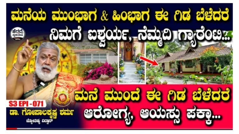 ಮನೆಯ ಮುಂಭಾಗ ಮತ್ತು ಹಿಂಭಾಗ ಈ ಗಿಡ ಬೆಳೆದರೆ ಆರೋಗ್ಯ ಆಯಸ್ಸು ಐಶ್ವರ್ಯ ನೆಮ್ಮದಿ ಗ್ಯಾರಂಟಿ…!