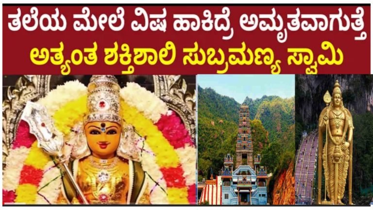 ಸುಬ್ರಹ್ಮಣ್ಯ ಸ್ವಾಮಿಯ ತಲೆ ಮೇಲೆ ವಿಷ ಹಾಕಿದ್ರೂ ಅಮೃತವಾಗುತ್ತದೆ ಈ ದೇವಾಲಯಕ್ಕೆ ಬಂದರೆ ಎಲ್ಲಾ ರೋಗಗಳಿಗೂ ನಿವಾರಣೆ ಸಿಗುತ್ತದೆ.! ಸುಬ್ರಹ್ಮಣ್ಯ ಸ್ವಾಮಿಯ ತಲೆ ಮೇಲೆ ವಿಷ ಹಾಕಿದ್ರೂ ಅಮೃತವಾಗುತ್ತದೆ ಈ ದೇವಾಲಯಕ್ಕೆ ಬಂದರೆ ಎಲ್ಲಾ ರೋಗಗಳಿಗೂ ನಿವಾರಣೆ ಸಿಗುತ್ತದೆ.!