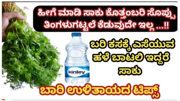 ಕೊತ್ತಂಬರಿ ಸೊಪ್ಪು ತುಂಬಾ ದಿನ ಹಾಳಾಗದೆ ಇರಬೇಕು ಎಂದರೆ ಒಂದು ನೀರಿನ ಬಾಟಲಿ ಇಂದ ಈ ರೀತಿ ಮಾಡಿ ಸಾಕು.! ಸೊಪ್ಪು ಬೇಗ ಹಾಳಗಲ್ಲ