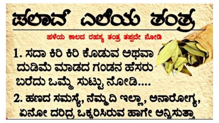 ಪಲಾವ್ ಎಲೆಗೆ ಇರುವ ಶಕ್ತಿ ಎಂತಹದ್ದು ಗೊತ್ತಾ.? ಮನೆಯಲ್ಲಿ ಯಾವುದೇ ಸಮಸ್ಯೆ ಇದ್ದರೂ ಪಲಾವ್ ಎಲೆಯ ಈ ತಂತ್ರದಿಂದ ಪರಿಹಾರ ಮಾಡಬಹುದು.!