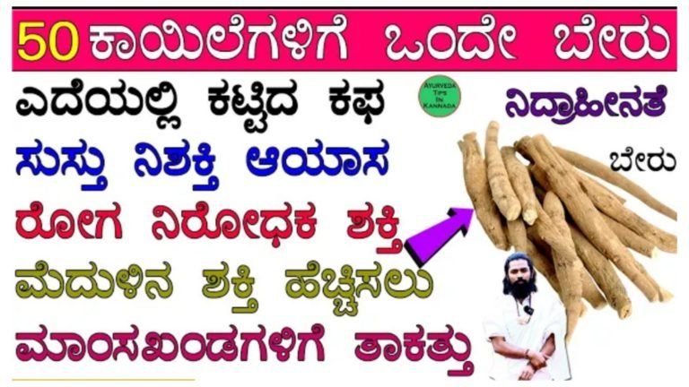 ಎದೆಯಲ್ಲಿ ಕಟ್ಟಿದ ಕಫ, ಸುಸ್ತು, ನಿಶ್ಯಕ್ತಿ, ಆಯಾಸ, ನಿದ್ರಾಹೀನತೆ ಇನ್ನು ಮುಂತಾದ 50 ಕಾಯಿಲೆಗಳಿಗೂ ಔಷಧಿ ಈ ಬೇರು.!