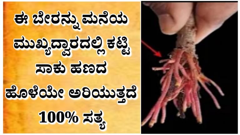 ಈ ವಸ್ತುವನ್ನು ಮನೆಯ ಮುಖ್ಯದ್ವಾರಕ್ಕೆ ಕಟ್ಟಿ, ಹಣದ ಹೊಳೆಯೇ ಹರಿದು ಬರುತ್ತದೆ.!