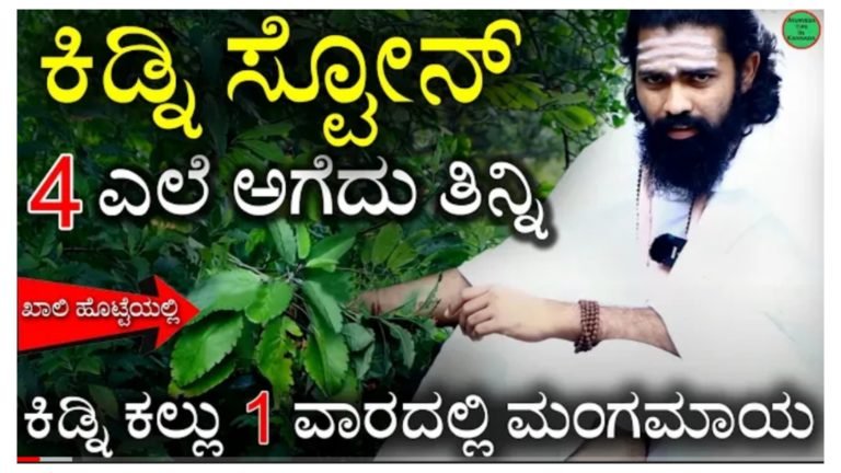 ಈ 4 ಎಲೆ ಅಗಿದು ತಿನ್ನು ಸಾಕು ಕಿಡ್ನಿ ಸ್ಟೋನ್ ಒಂದು ವಾರದಲ್ಲಿ ಮಂಗಮಾಯ.!