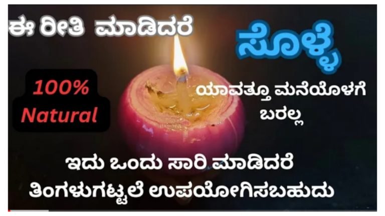 ಸೊಳ್ಳೆಗಳ ಕಾಟವೇ.? ಈ ರೀತಿ ಮಾಡಿ ನೋಡಿ ಸೊಳ್ಳೆ ನಿಮ್ಮ ಮನೆ ಅತ್ತಿರ ಸುಳಿಯೋದಿಲ್ಲ.!
