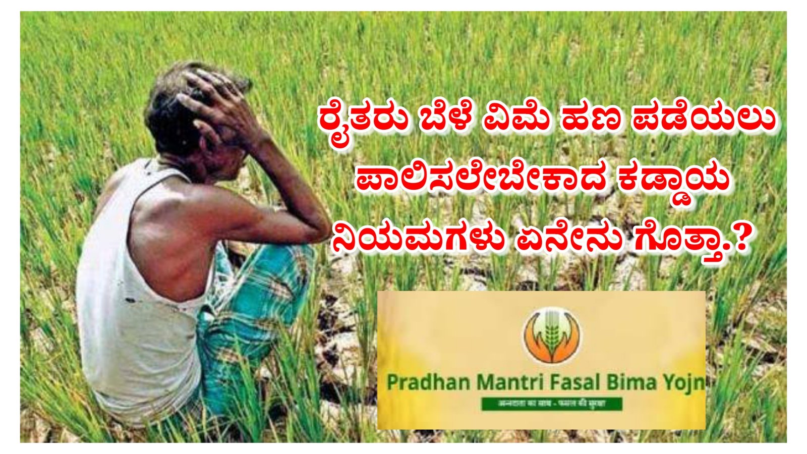 ರೈತರು ಬೆಳೆ ವಿಮೆ ಹಣ ಪಡೆಯಲು ಪಾಲಿಸಲೇಬೇಕಾದ ಕಡ್ಡಾಯ ನಿಯಮಗಳು ಏನೇನು ಗೊತ್ತಾ.?