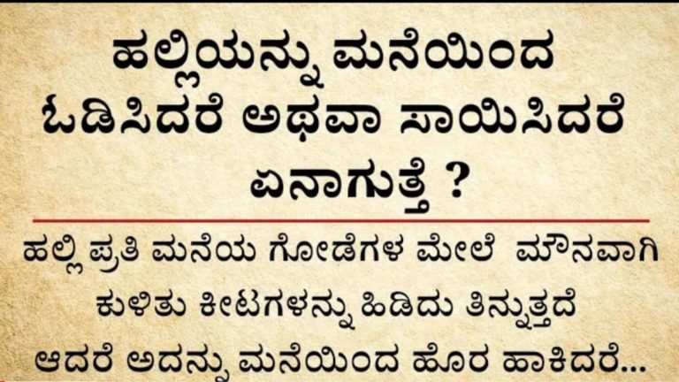 ಹಲ್ಲಿಯನ್ನು ಮನೆಯಿಂದ ಓಡಿಸುತ್ತಿದ್ದೀರಾ ತಕ್ಷಣ ಈ ವಿಷಯ ತಿಳಿದುಕೊಳ್ಳಿ.!