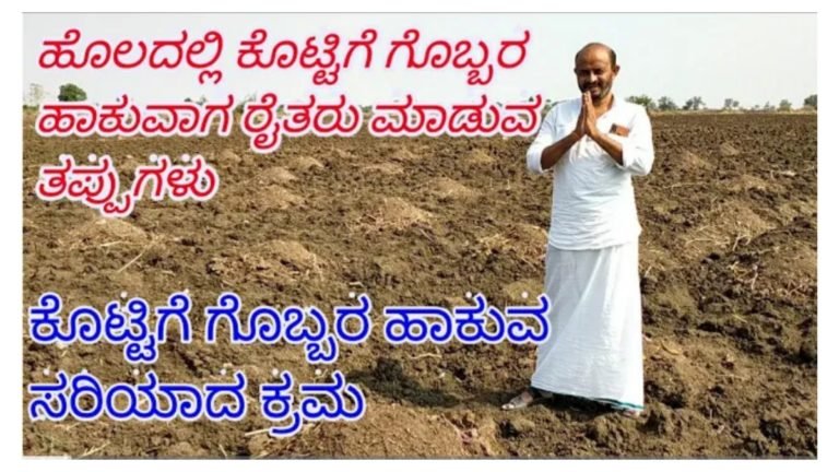 ಕೊಟ್ಟಿಗೆ ಗೊಬ್ಬರವನ್ನು ಹೊಲದಲ್ಲಿ ಹಾಕುವ ಸರಿಯಾದ ವಿಧಾನ ಯಾವುದು ಇಲ್ಲಿದೆ ನೋಡಿ.! ರೈತರಿಗೆ ಬಹಳ ಉಪಯುಕ್ತ ಮಾಹಿತಿ ಇದು.!