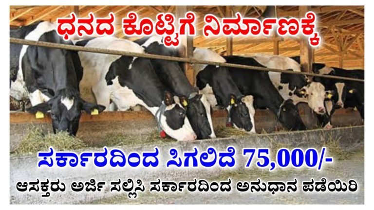 ಪಶುಸಂಗೋಪನೆ ಮಾಡುವ ರೈತರಿಗೆ ಗುಡ್ ನ್ಯೂಸ್ ದನದ ಕೊಟ್ಟಿಗೆ ನಿರ್ಮಾಣಕ್ಕೆ ರಾಜ್ಯ ಸರ್ಕಾರದಿಂದ ಸಿಗಲಿದೆ 57 ಸಾವಿರ ಸಹಾಯಧನ ಕೂಡಲೇ ಅರ್ಜಿ ಸಲ್ಲಿಸಿ