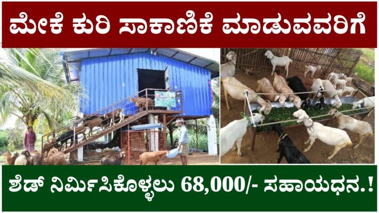 ಮೇಕೆ ಕುರಿ ಸಾಕಾಣಿಕೆ ಮಾಡುವವರಿಗೆ ಸರ್ಕಾರದಿಂದ ಗುಡ್ ನ್ಯೂಸ್, ಶೆಡ್ ನಿರ್ಮಿಸಿಕೊಳ್ಳಲು ಸರ್ಕಾರದಿಂದ ಸಿಗಲಿದೆ 68,000/- ಸಹಾಯಧನ.!