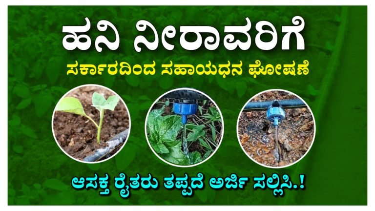 ಹನಿ ನೀರಾವರಿಗೆ ಸರ್ಕಾರದಿಂದ ಸಹಾಯಧನ ಘೋಷಣೆ, ಆಸಕ್ತ ರೈತರು ತಪ್ಪದೆ ಅರ್ಜಿ ಸಲ್ಲಿಸಿ.!