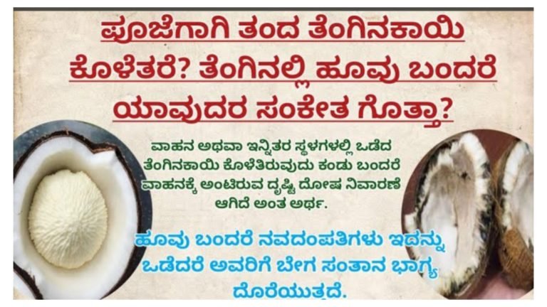 ಪೂಜೆಗಾಗಿ ತಂದ ತೆಂಗಿನಕಾಯಿ ಕೊಳೆತರೆ, ತೆಂಗಿನಕಾಯಿಯಲ್ಲಿ ಹೂವು ಬಂದರೆ ಏನು ಸೂಚನೆ ಗೊತ್ತಾ.? ಪ್ರತಿಯೊಬ್ಬರೂ ತಿಳಿದು ಕೊಳ್ಳಬೇಕಾದ ಮಾಹಿತಿ ಇದು