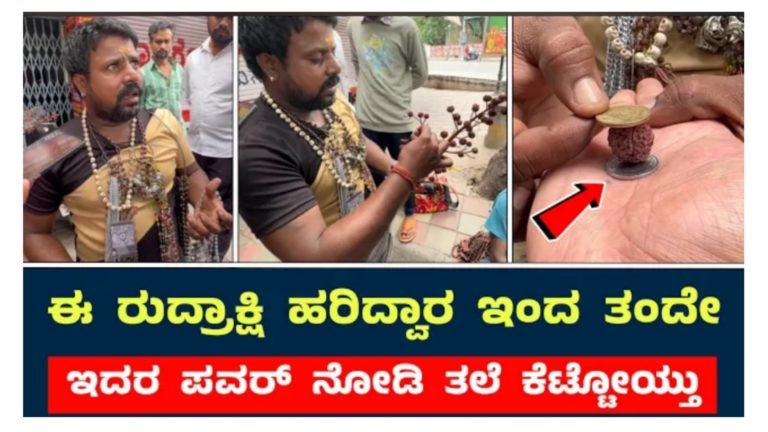 ಒರಿಜಿನಲ್ ರುದ್ರಾಕ್ಷಿ ಇದಕ್ಕೆ ಎಷ್ಟು ಪವರ್ ಇದೆ ಗೊತ್ತಾ.!