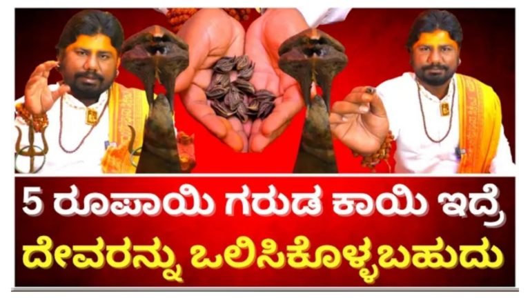 ಈ 5 ರೂಪಾಯಿ ಗರುಡ ಕಾಯಿ ಇದ್ದರೆ ಸಾಕು, ನಿಮ್ಮ ಇಷ್ಟದ ದೇವರನ್ನು ಒಲಿಸಿಕೊಳ್ಳಬಹುದು.!