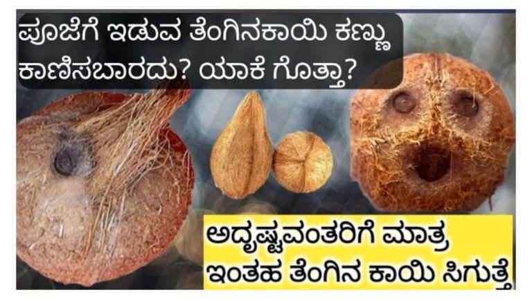 ಪೂಜೆಗೆ ಇಡುವ ತೆಂಗಿನ ಕಾಯಿ ಕಣ್ಣು ಕಾಣಿಸಬಾರದು ಯಾಕೆ ಗೊತ್ತಾ.?