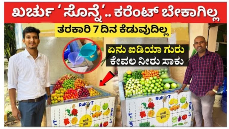 ಒಂದು ರೂಪಾಯಿ ಖರ್ಚಿಲ್ಲ.! ಕರೆಂಟ್ ಕೂಡ ಬೇಕಿಲ್ಲ, ನೀರು ಇದ್ದರೆ ಸಾಕು ಈ ಬಾಕ್ಸ್ ನಲ್ಲಿ  ಏಳು ದಿನ ಇಟ್ಟರೂ ತರಕಾರಿ ಕೆಡುವುದಿಲ್ಲ ಹೇಗೆ ನೋಡಿ.!