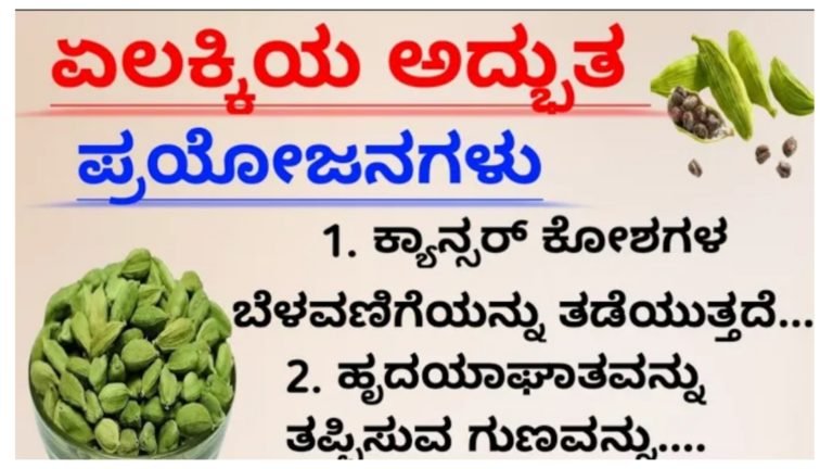 ಏಲಕ್ಕಿಯ ಅದ್ಭುತ ಪ್ರಯೋಜನಗಳು.!