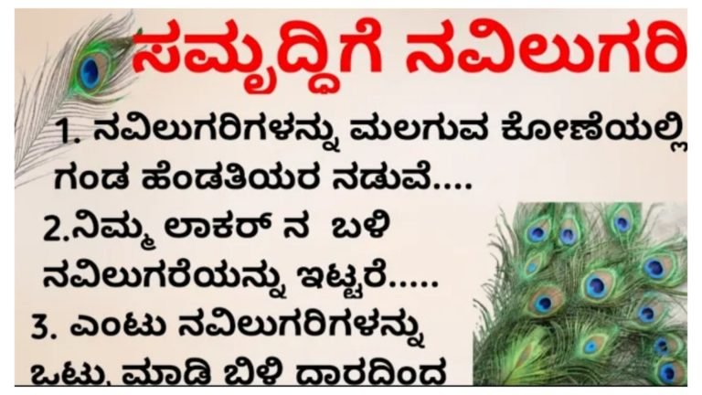 ನವಿಲುಗರಿಯನ್ನು ಮನೆಯಲ್ಲಿ ಇಡುವುದರಿಂದ ಆಗುವ ಪ್ರಯೋಜನಗಳು.!