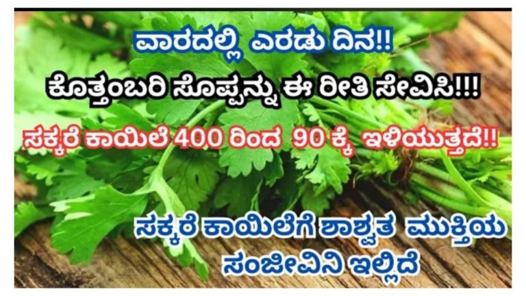 ಸಕ್ಕರೆ ಕಾಯಿಲೆ 400 ರಿಂದ 90 ಕ್ಕೆ ಇಳಿಯುತ್ತದೆ ಈ ರೀತಿ ಒಮ್ಮೆ ಮಾಡಿ ನೋಡಿ.! ಮಧುಮೇಹಿಗಳಿಗೆ ರಾಮಬಾಣ ಈ ಜ್ಯೂಸ್