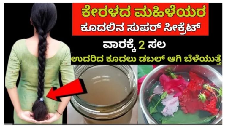 ಕೇರಳದವರ ತರಾ ದಟ್ಟ ಉದ್ದ ಕೂದಲ ಸೀಕ್ರೆಟ್, ಕೂದಲು ಉದುರುವುದು ನಿಲ್ಲುತ್ತೆ.! ಮನೆಯಲ್ಲೇ ಈ ರೀತಿ ಎಣ್ಣೆ ಮಾಡಿ ಹಚ್ಚಿ ಸಾಕು.!