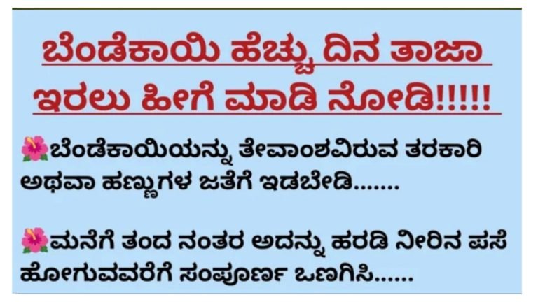 ಬೆಂಡೆಕಾಯಿ ಹೆಚ್ಚು ದಿನ ತಾಜಾ ಇರಲು ಹೀಗೆ ಮಾಡಿ ನೋಡಿ.!