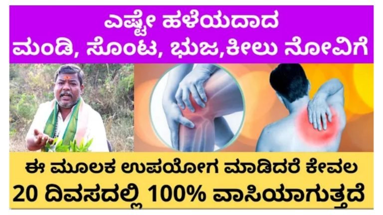 ಮಂಡಿ ಕೀಲು ಸೊಂಟ ನೋವುಗಳಿಗೆ ಈ ರಸವನ್ನು ಹಚ್ಚಿದರೆ 20 ದಿನದಲ್ಲಿ ವಾಸಿಯಾಗುತ್ತದೆ.!