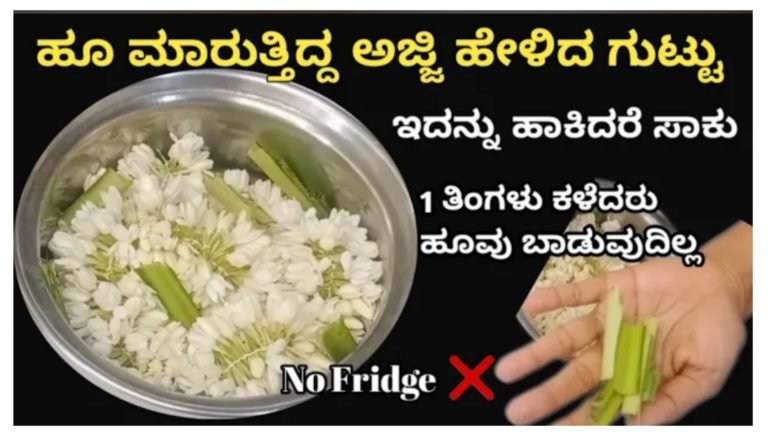 ಒಂದು ತಿಂಗಳಾದ್ರು ಹೂ ಬಾಡಲ್ಲ.! ಈ ರೀತಿ ಮಾಡಿ ಸಾಕು.!