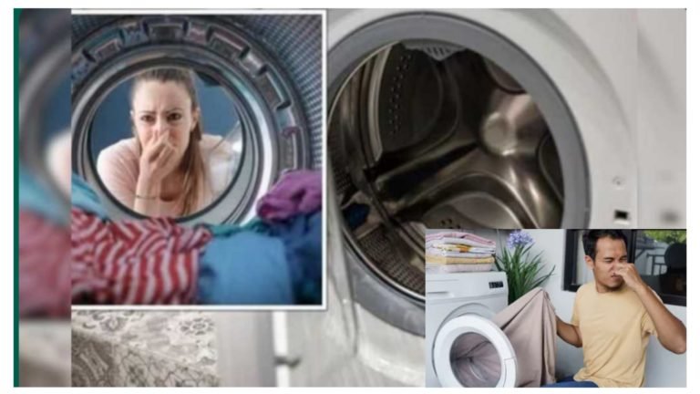 ಬಟ್ಟೆ ಒಗೆದ ನಂತರ ವಾಷಿಂಗ್ ಮಷಿನ್ ವಾಸನೆ ಬರುತ್ತಿದೆಯೇ.? ಇದಕ್ಕೆ ಕಾರಣವೇನು & ಪರಿಹಾರವೇನು ಸಂಪೂರ್ಣ ಮಾಹಿತಿ ಇಲ್ಲಿದೆ ನೋಡಿ.!