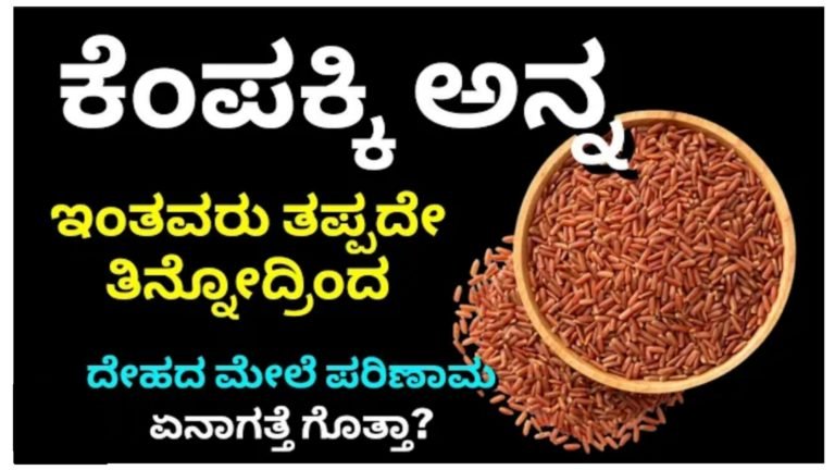 ಕೆಂಪು ಅಕ್ಕಿ ಅನ್ನ ಊಟ ಮಾಡೋದ್ರಿಂದ ಏಷ್ಟೆಲ್ಲಾ ಆರೋಗ್ಯಕರ ಪ್ರಯೋಜನಗಳಿವೆ ಗೊತ್ತ.!