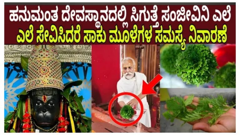 ಈ ಆಂಜನೇಯ ಸ್ವಾಮಿ ದೇವಸ್ಥಾನದಲ್ಲಿ ಸಿಗುವ ಎಲೆ ಸೇವಿಸಿದರೆ ಮೂಳೆಗಳ ಸಮಸ್ಯೆ ತಕ್ಷಣ ನಿವಾರಣೆ.! ಈ ಆಂಜನೇಯ ಸ್ವಾಮಿ ದೇವಸ್ಥಾನದಲ್ಲಿ ಸಿಗುವ ಎಲೆ ಸೇವಿಸಿದರೆ ಮೂಳೆಗಳ ಸಮಸ್ಯೆ ತಕ್ಷಣ ನಿವಾರಣೆ.!