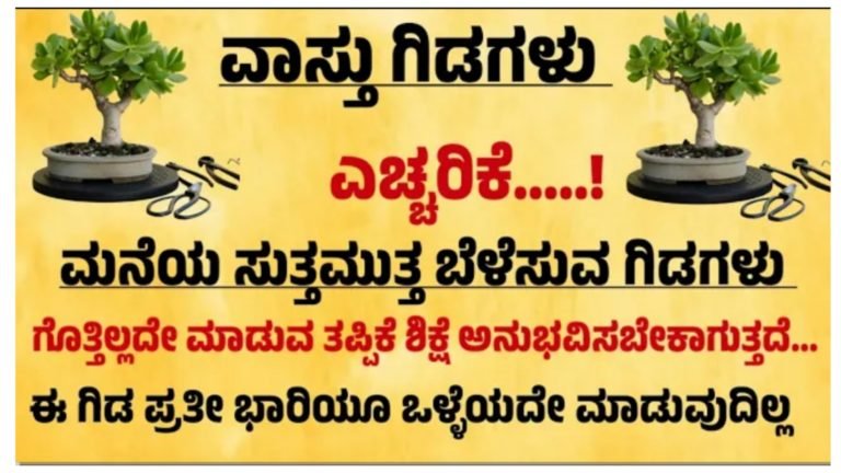 ಮನೆ ಮುಂದೆ ಗಿಡ ಈ ರೀತಿ ಗಿಡ ಬೆಳೆಸುವ ಮುನ್ನ ಎಚ್ಚರ.! ಇಲ್ಲದಿದ್ರೆ ಕಷ್ಟ ತಪ್ಪಿದ್ದಲ್ಲ.!