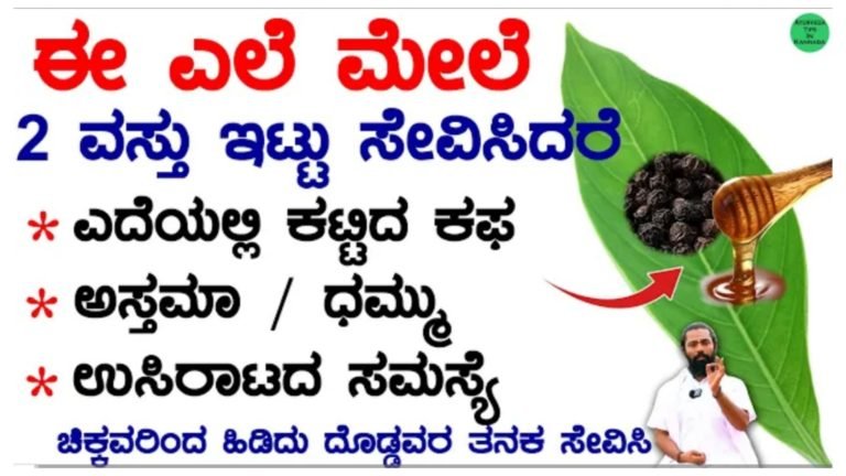 ಎದೆಯಲ್ಲಿ ಕಟ್ಟಿದ ಕಫ, ಅಸ್ತಮಾ ಸಮಸ್ಯೆ ಉಸಿರಾಟದ ಸಮಸ್ಯೆ ಎಲ್ಲದಕ್ಕೂ ಸಂಜೀವಿನಿ ಈ ಎಲೆ.!