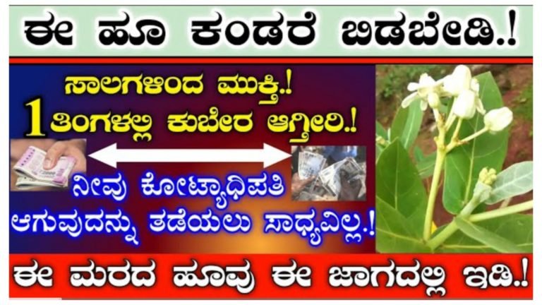 ಈ ಹೂವು ಕಂಡರೆ ಬಿಡಬೇಡಿ ಎಲ್ಲಾ ಸಾಲಗಳಿಂದ ಮುಕ್ತಿ ಪಡೆಯಲು ಈ ಹೂವನ್ನು ಮನೆಯ ಈ ಜಾಗದಲ್ಲಿ ಹೀಗೆ ಇಡಿ ಸಮಸ್ಯೆ ಕಳೆದು ಕೋಟ್ಯಾಧಿಪತಿಗಳಾಗುತ್ತಿರಾ.!