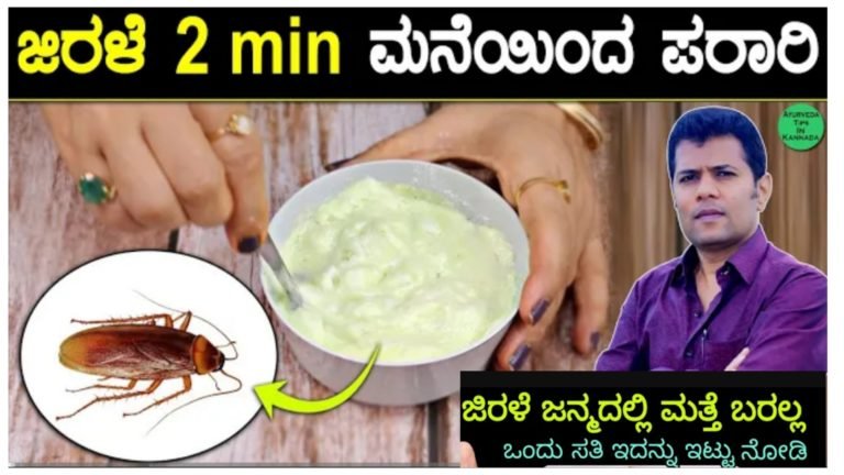 ಜಿರಳೆ ಎರಡು ನಿಮಿಷದಲ್ಲಿ ಮನೆಯಿಂದ ಪರಾರಿ.! ಜಿರಲೆ ಸಮಸ್ಯೆ ಇರುವವರು ತಪ್ಪದೆ ಈ ಟಿಪ್ಸ್ ಫಾಲೋ ಮಾಡಿ.!