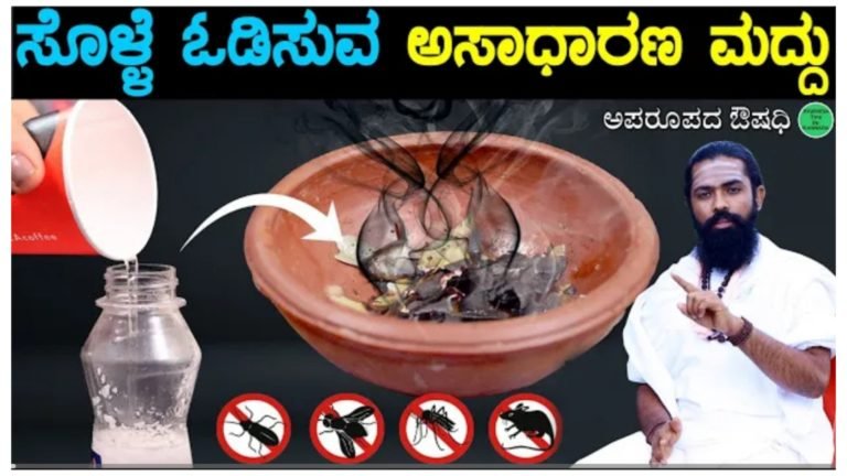 5 ನಿಮಿಷದಲ್ಲಿ ಸೊಳ್ಳೆಯನ್ನು ಓಡಿಸುವ ಸುಲಭವಾದ ಆರೋಗ್ಯಕರ ಮನೆಮದ್ದುಗಳು ಇವು.!