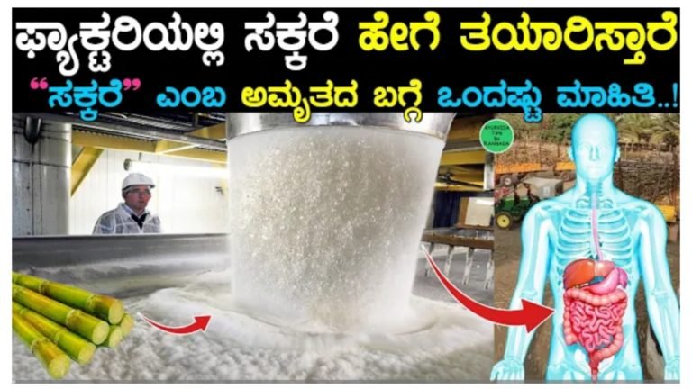 ಸಕ್ಕರೆ ಫ್ಯಾಕ್ಟರಿಯಲ್ಲಿ ಹೇಗೆ ತಯಾರಾಗುತ್ತದೆ ನೋಡಿ.!