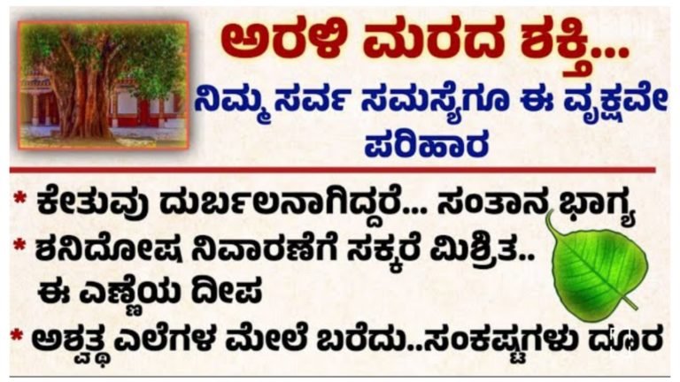 ಅರಳಿ ಮರಕ್ಕೆ ಎಷ್ಟೊಂದು ಶಕ್ತಿ ಇದೆ ಗೊತ್ತಾ.? ಅರಳಿ ಮರದ ಬಗ್ಗೆ ಒಂದಿಷ್ಟು ಮಾಹಿತಿ.!
