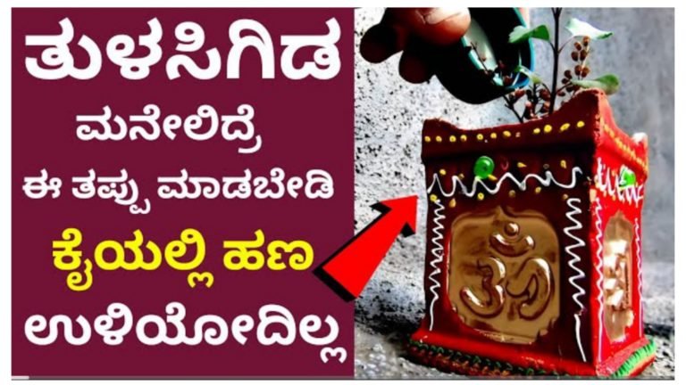 ತುಳಸಿ ಗಿಡ ಮನೆಯಲ್ಲಿದ್ದರೆ ಇಂತಹ ತಪ್ಪುಗಳನ್ನು ಮಾಡಬೇಡಿ, ಮನೆಯಲ್ಲಿ ಹಣ ಉಳಿಯುವುದಿಲ್ಲ.! ತುಳಸಿ ಗಿಡ ಮನೆಯಲ್ಲಿದ್ದರೆ ಇಂತಹ ತಪ್ಪುಗಳನ್ನು ಮಾಡಬೇಡಿ, ಮನೆಯಲ್ಲಿ ಹಣ ಉಳಿಯುವುದಿಲ್ಲ.!