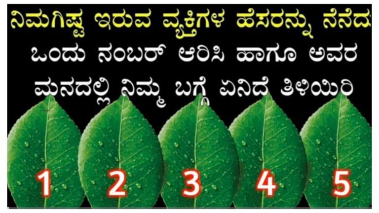 ಒಂದು ಎಲೆಯನ್ನು ಆಯ್ಕೆ ಮಾಡಿ ಹಾಗೂ ನಿಮಗಿಷ್ಟ ಇರುವ ವ್ಯಕ್ತಿಗಳ ಬಗ್ಗೆ ತಿಳಿಯಿರಿ.! ಒಂದು ಎಲೆಯನ್ನು ಆಯ್ಕೆ ಮಾಡಿ ಹಾಗೂ ನಿಮಗಿಷ್ಟ ಇರುವ ವ್ಯಕ್ತಿಗಳ ಬಗ್ಗೆ ತಿಳಿಯಿರಿ.!