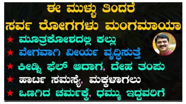 ಈ ಮುಳ್ಳು ತಿಂದರೆ ಸರ್ವ ರೋಗಗಳು ಮಂಗಮಾಯ.! ಈ ಮುಳ್ಳು ತಿಂದರೆ ಸರ್ವ ರೋಗಗಳು ಮಂಗಮಾಯ.!