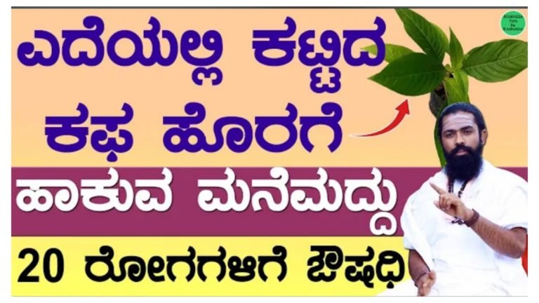 ಎದೆಯಲ್ಲಿ ಕಟ್ಟಿದ ಕಫ ಕರಗಿಸಲು ಮನೆ ಮದ್ದು.! ಶೀತ ಕೆಮ್ಮು ಕಫಕ್ಕೆ ಮನೆಮದ್ದು.! ಎದೆಯಲ್ಲಿ ಕಟ್ಟಿದ ಕಫ ಕರಗಿಸಲು ಮನೆ ಮದ್ದು.! ಶೀತ ಕೆಮ್ಮು ಕಫಕ್ಕೆ ಮನೆಮದ್ದು.!