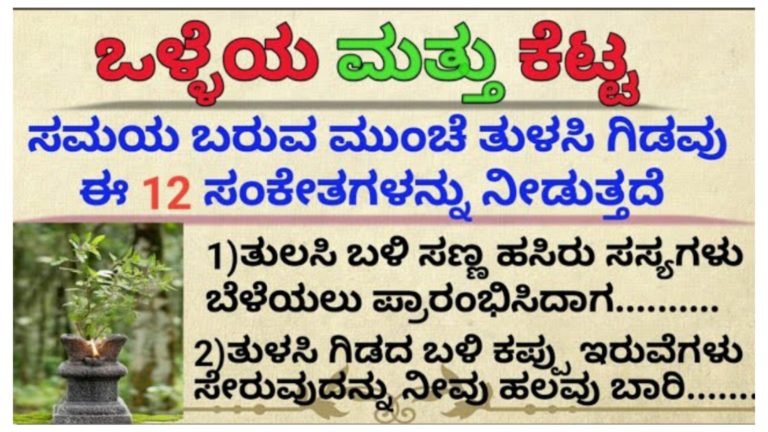 ಒಳ್ಳೆಯ ಮತ್ತು ಕೆಟ್ಟ ಸಮಯ ಬರುವ ಮುಂಚೆ ತುಳಸಿ ಗಿಡವು ಈ 12 ಸಂಕೇತಗಳನ್ನು ನೀಡುತ್ತದೆ.! ಒಳ್ಳೆಯ ಮತ್ತು ಕೆಟ್ಟ ಸಮಯ ಬರುವ ಮುಂಚೆ ತುಳಸಿ ಗಿಡವು ಈ 12 ಸಂಕೇತಗಳನ್ನು ನೀಡುತ್ತದೆ.!
