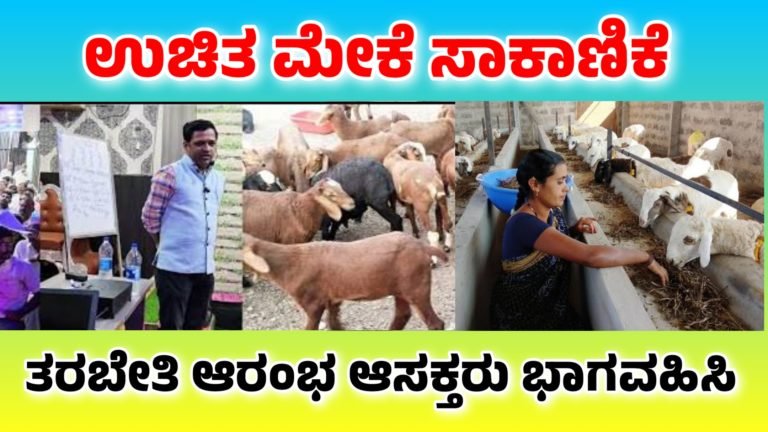 ರಾಜ್ಯದ ಯುವ ಜನತೆಗೆ ಉಪಯುಕ್ತ ಮಾಹಿತಿ, ಮೇಕೆ ಸಾಕಾಣಿಕೆಗೆ ಉಚಿತ ತರಬೇತಿ, ಪೂರ್ತಿ ಮಾಹಿತಿ ಇಲ್ಲಿದೆ ನೋಡಿ…