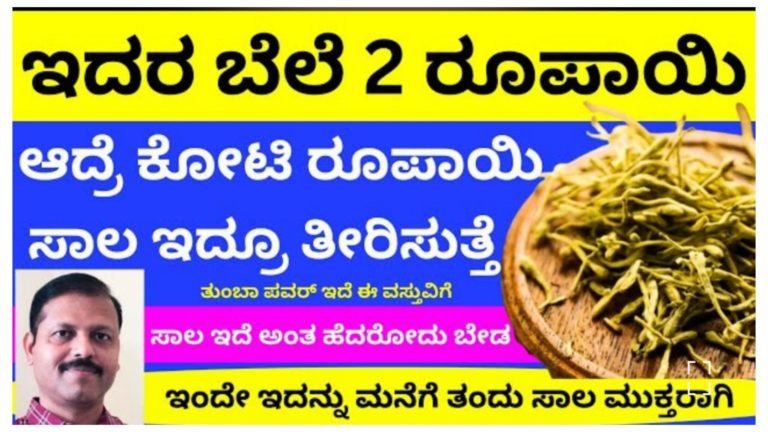 ಇದರ ಬೆಲೆ ಕೇವಲ 2 ರೂಪಾಯಿ ಆದರೆ ಕೋಟಿ ಸಾಲ ಇದ್ದರೂ ಕೂಡ ತೀರಿಸುತ್ತದೆ.!