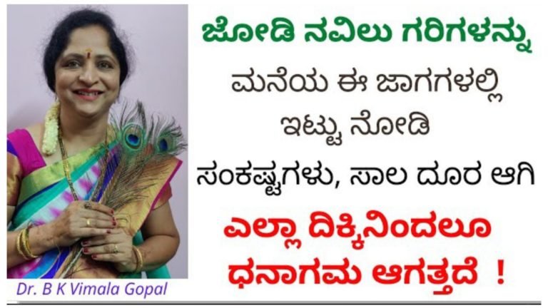 ಸಂಕಷ್ಟಗಳು ದೂರವಾಗಿ ಲಕ್ಷ್ಮಿ ಕೃಪೆಯಿಂದ ಧನಾಮನವಾಗಬೇಕು ಎಂದರೆ ಜೋಡಿ ನವಲುಗರಿಯನ್ನು ಮನೆಯ ಈ ಜಾಗದಲ್ಲಿಡಿ… ಸಂಕಷ್ಟಗಳು ದೂರವಾಗಿ ಲಕ್ಷ್ಮಿ ಕೃಪೆಯಿಂದ ಧನಾಮನವಾಗಬೇಕು ಎಂದರೆ ಜೋಡಿ ನವಲುಗರಿಯನ್ನು ಮನೆಯ ಈ ಜಾಗದಲ್ಲಿಡಿ…
