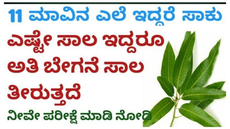 ಸಾಲದ ಸಮಸ್ಯೆಯಿಂದ ಮುಕ್ತಿ ಪಡೆಯಬೇಕು ಎಂದರೆ 11 ಮಾವಿನ ಎಲೆಯಲ್ಲಿ ಈ ರೀತಿಯಾಗಿ ಪರಿಹಾರ ಮಾಡಿ.!