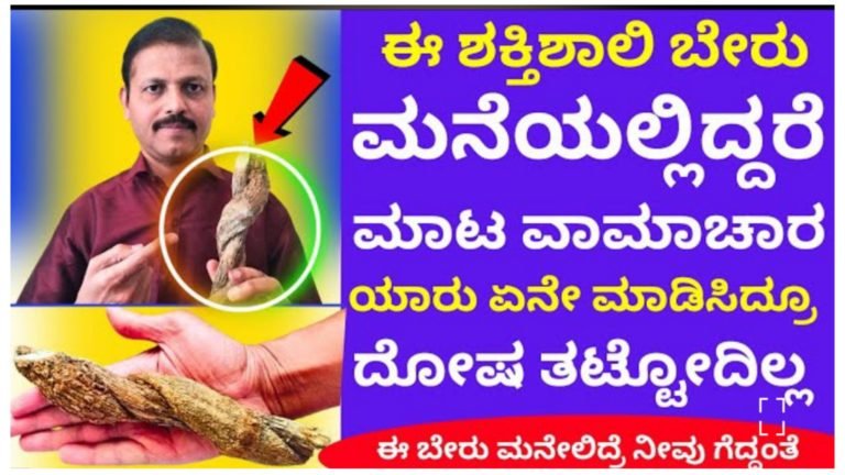 ಈ ಶಕ್ತಿಶಾಲಿ ಬೇರು ಮನೆಯಲ್ಲಿದ್ದರೆ ಮಾ.ಟ, ಮಂ.ತ್ರ ವಾಮಾಚಾರ, ಯಾರು ಏನೇ ಮಾಡಿಸಿದರೂ ದೋಷ ತಟ್ಟುವುದಿಲ್ಲ.!