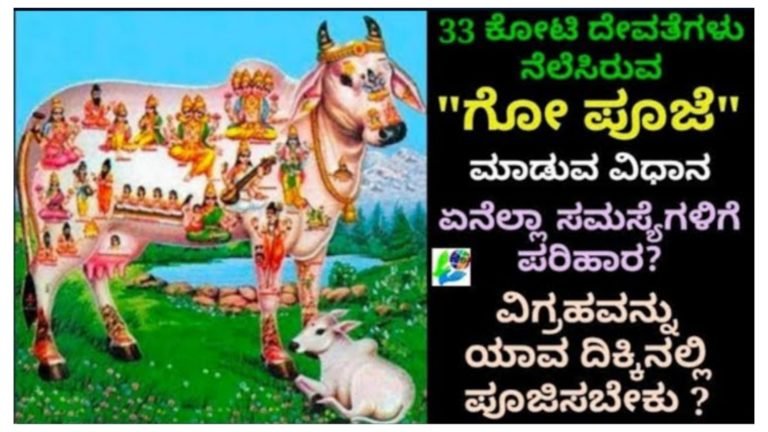 33 ಕೋಟಿ ದೇವತೆಗಳು ನೆಲೆಸಿರುವ ಗೋ ಪೂಜೆ ಮಾಡುವ ವಿಧಾನ ಹೇಗೆ.? ಯಾವೆಲ್ಲಾ ಸಮಸ್ಯೆಗಳಿಗೆ ಪರಿಹಾರ ನೀಡುತ್ತೆ ನೋಡಿ.! 33 ಕೋಟಿ ದೇವತೆಗಳು ನೆಲೆಸಿರುವ ಗೋ ಪೂಜೆ ಮಾಡುವ ವಿಧಾನ ಹೇಗೆ.? ಯಾವೆಲ್ಲಾ ಸಮಸ್ಯೆಗಳಿಗೆ ಪರಿಹಾರ ನೀಡುತ್ತೆ ನೋಡಿ.!